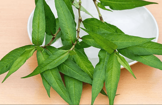 Quyền canh tác nông nghiệp: Rau răm